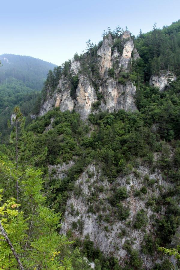 Къща Край Реката - Триград ภายนอก รูปภาพ